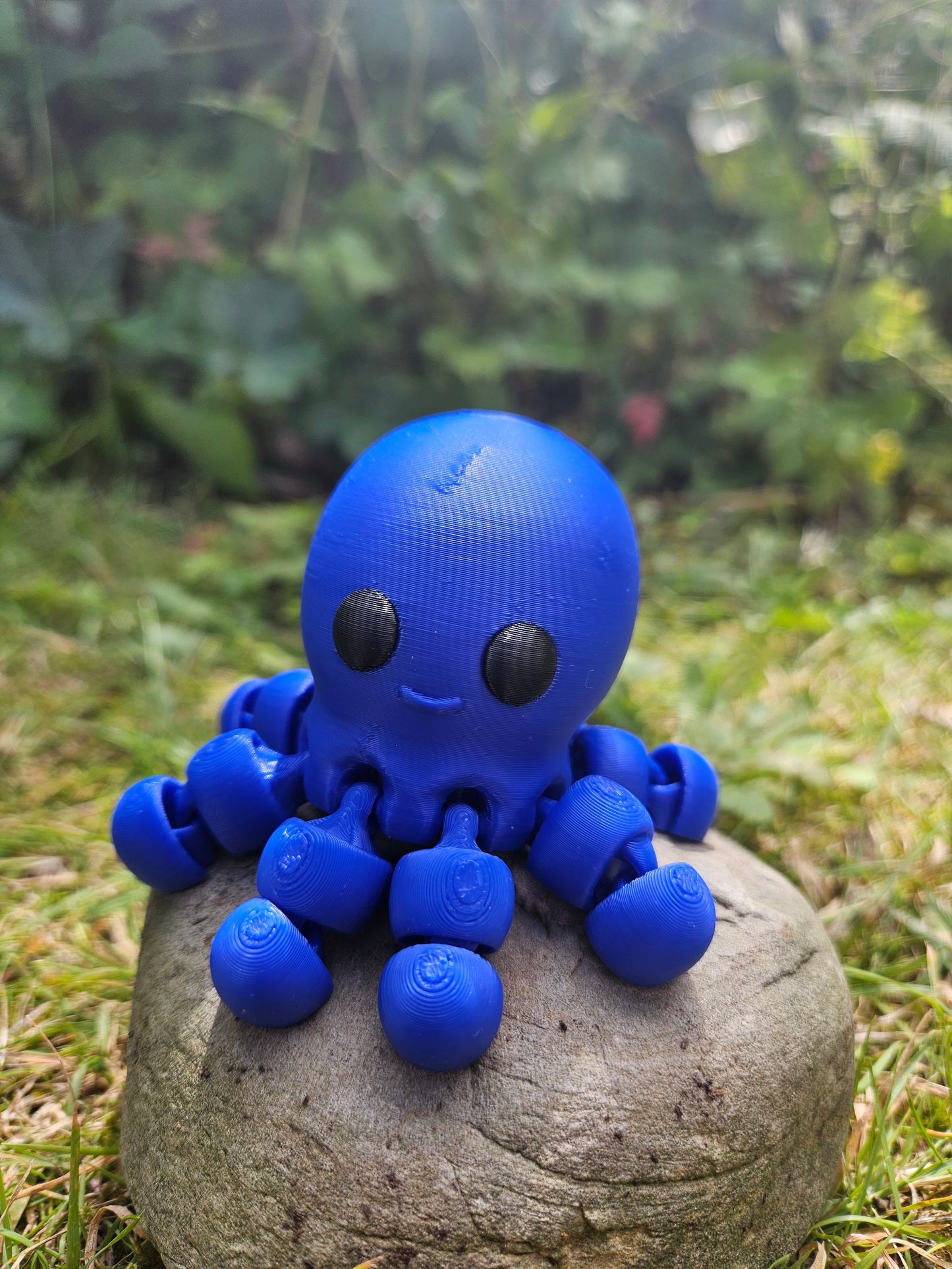 Baby Oktopus