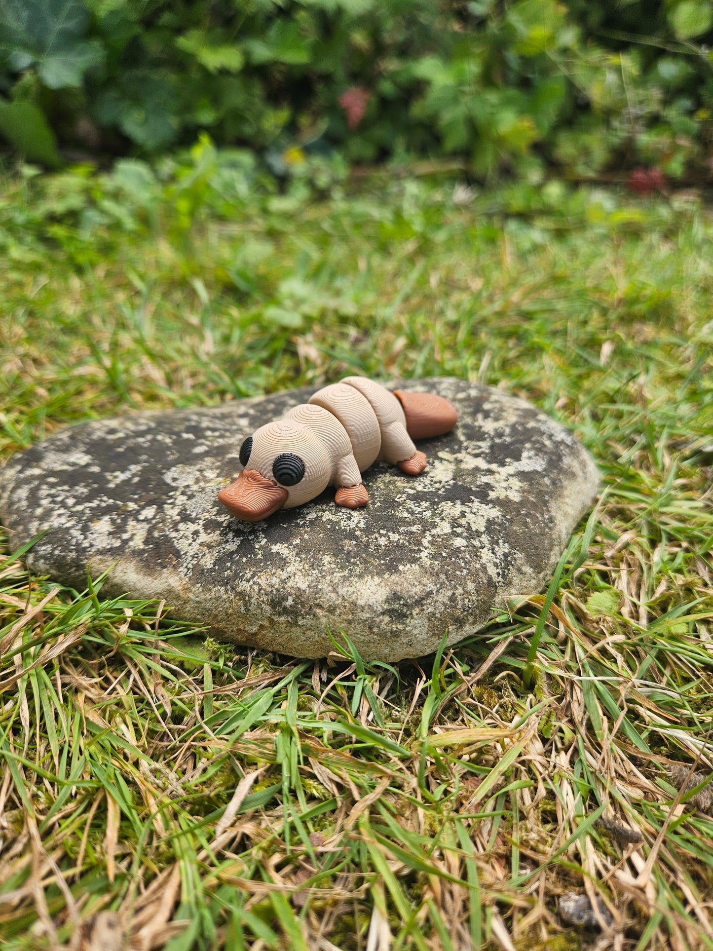 Baby Schnabeltier