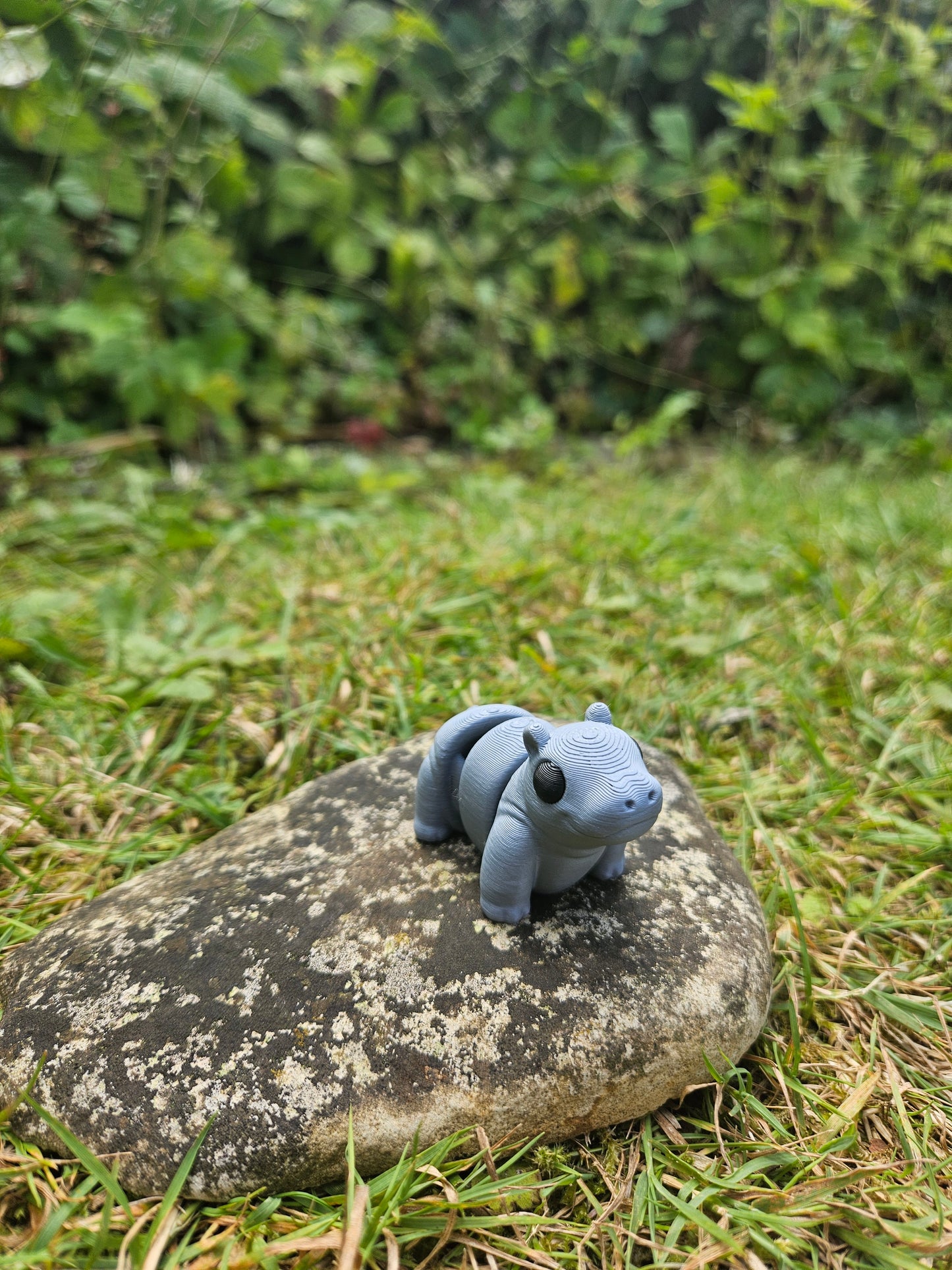 Baby Flusspferd