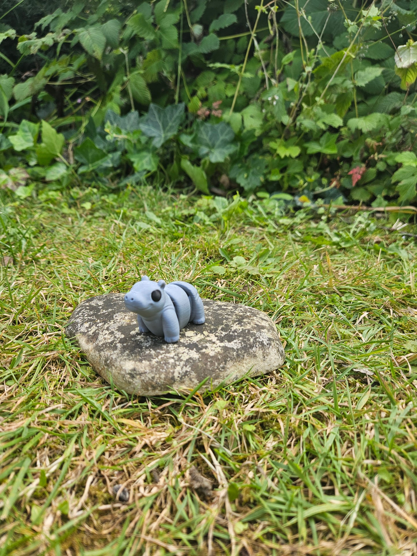 Baby Flusspferd