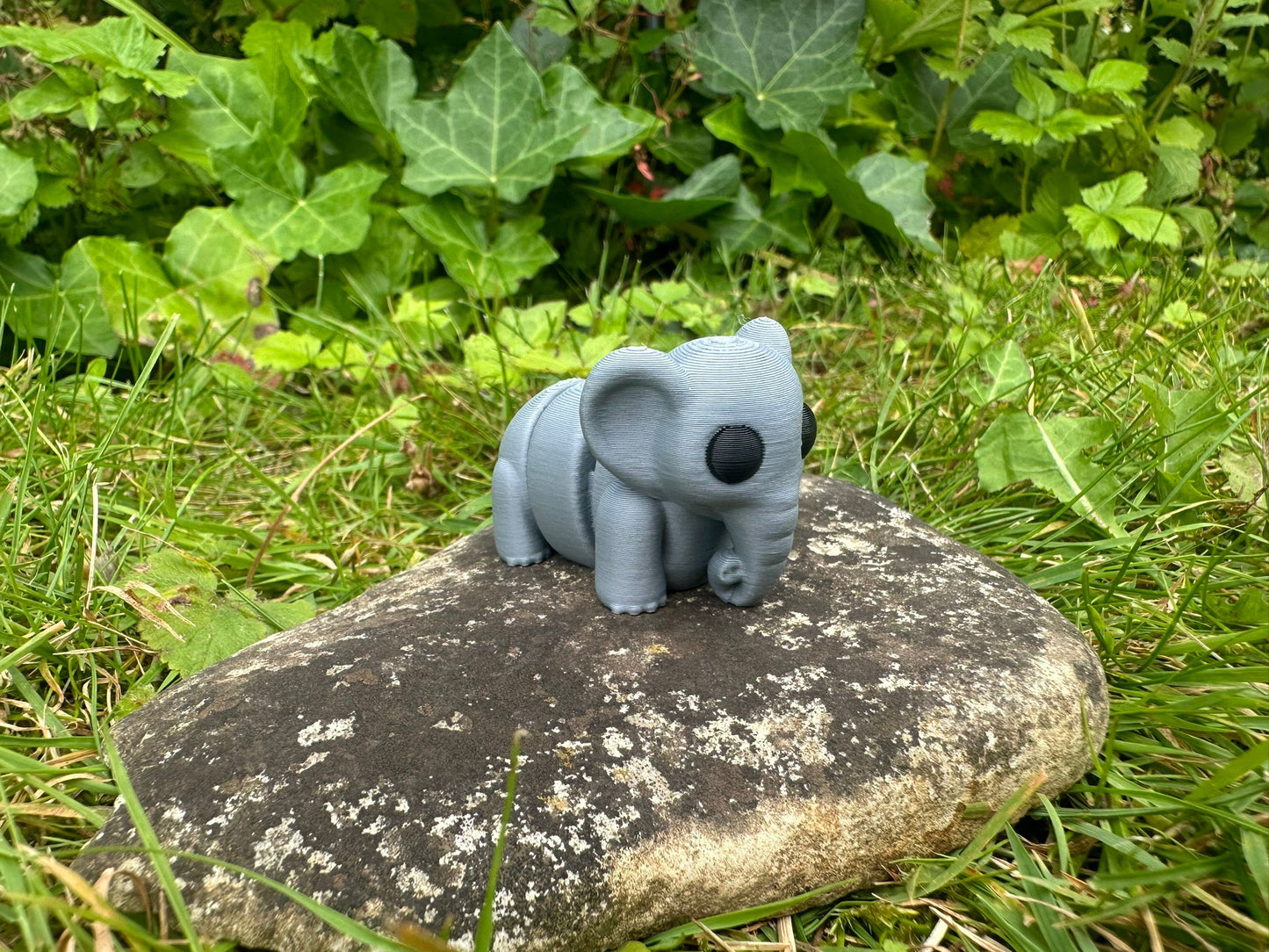 Baby Elefant