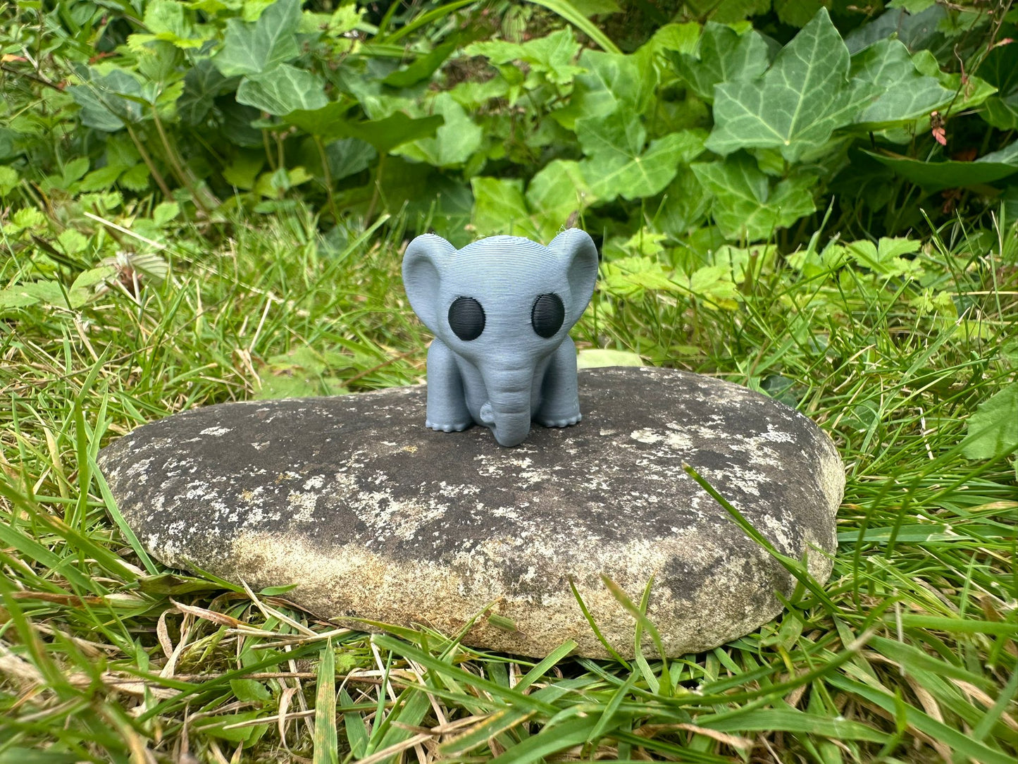 Baby Elefant