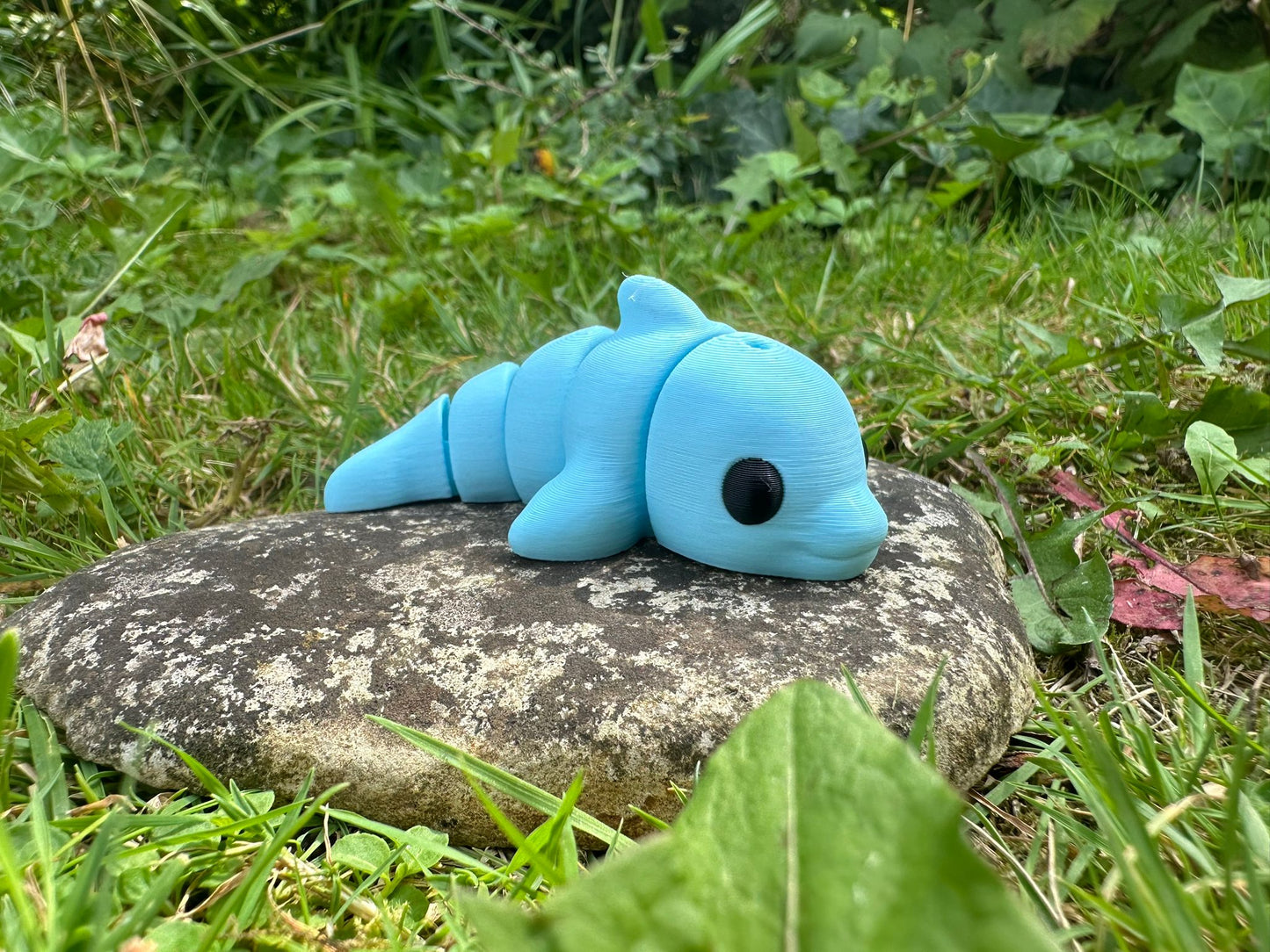 Baby Delfin