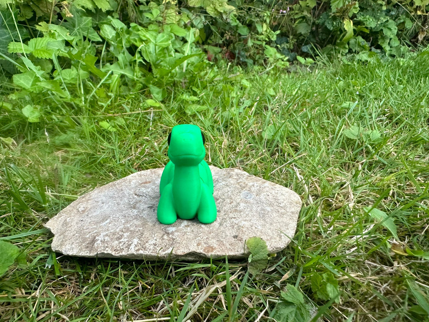 Baby Brontosaurus