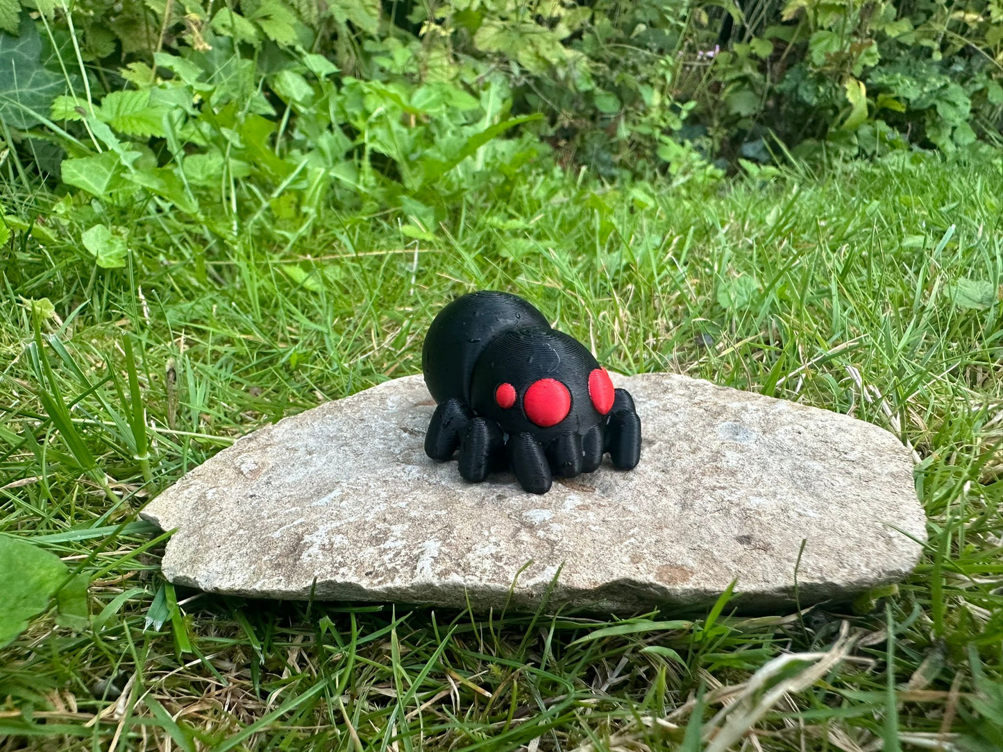 Baby Spinne