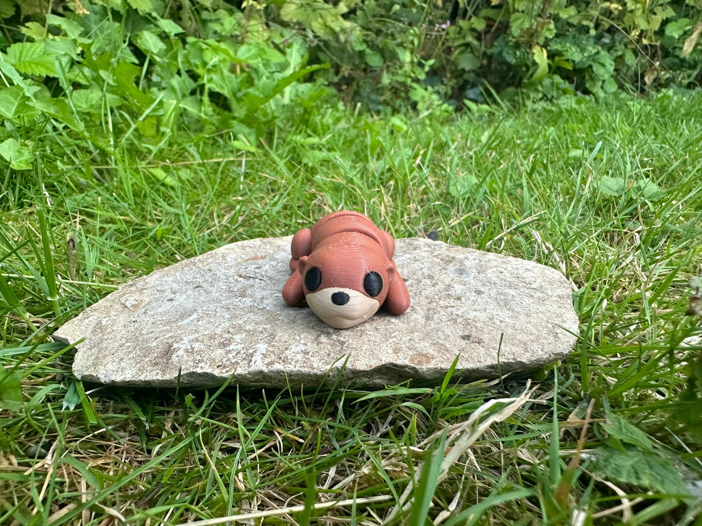 Baby Otter