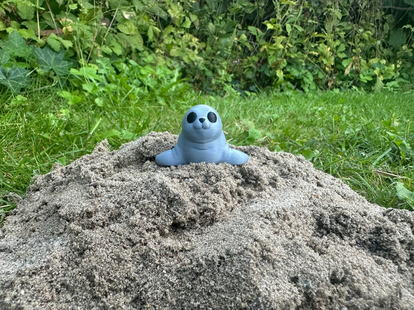 Baby Robbe