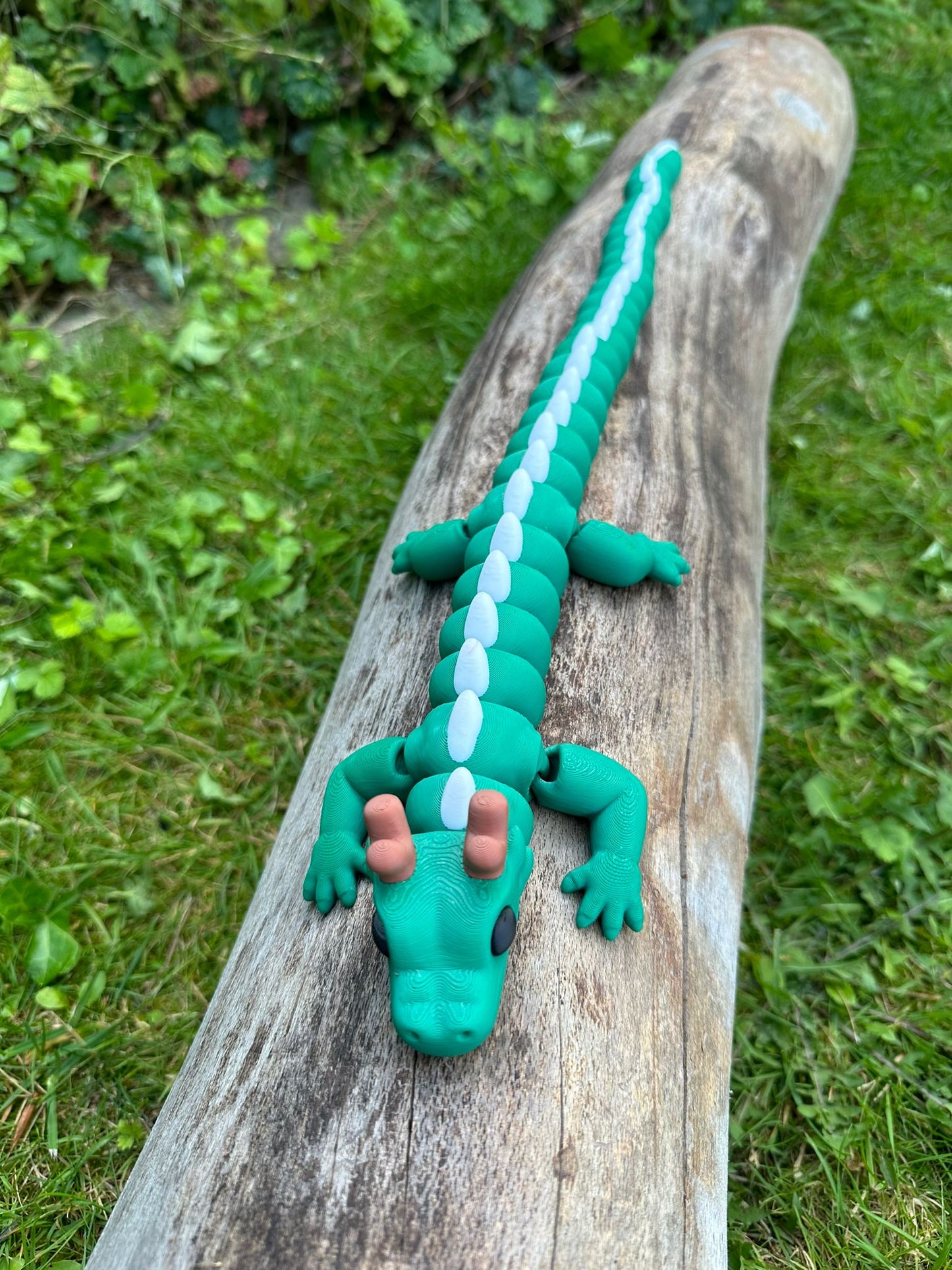 Zauberdrache