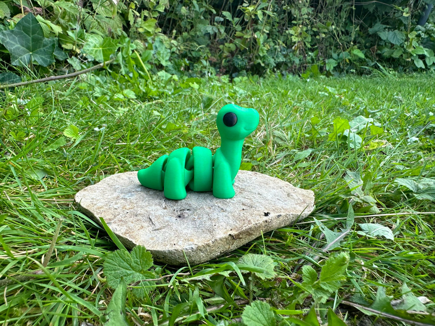 Baby Brontosaurus