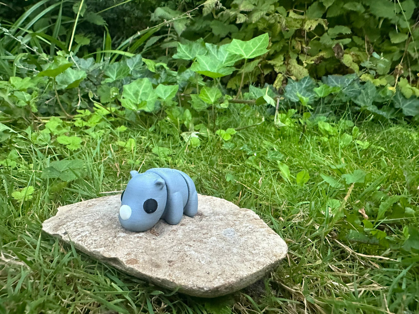 Baby Nashorn