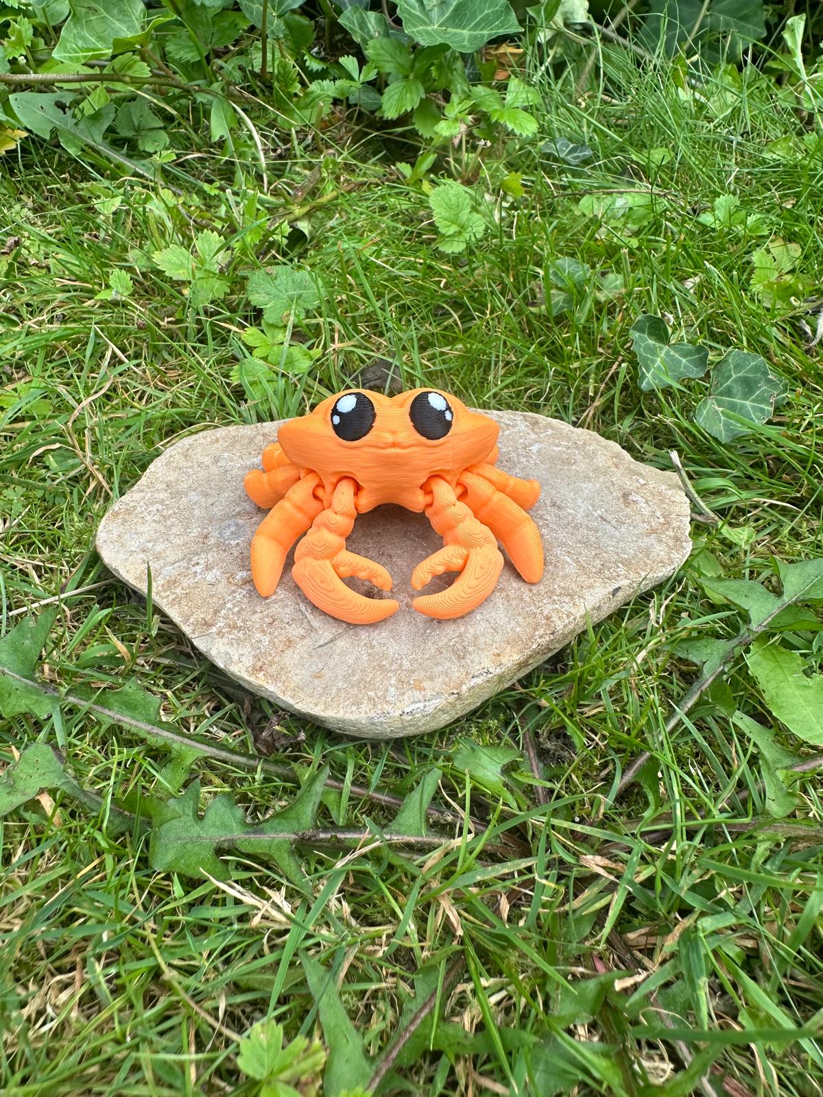 Krabbe