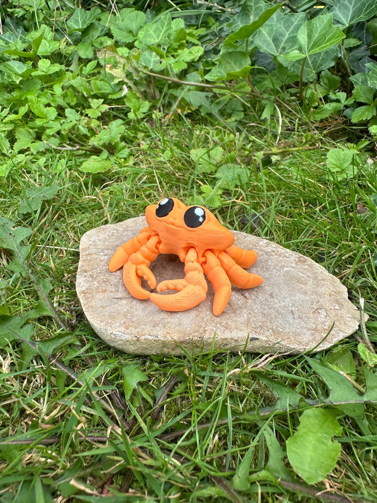 Krabbe