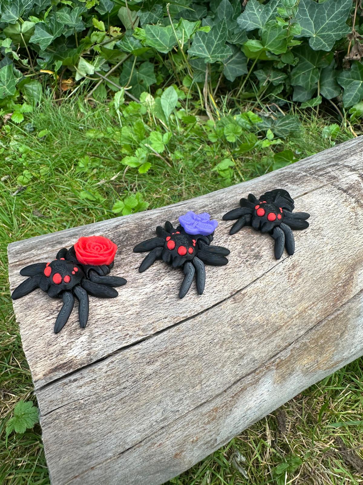 Spinne