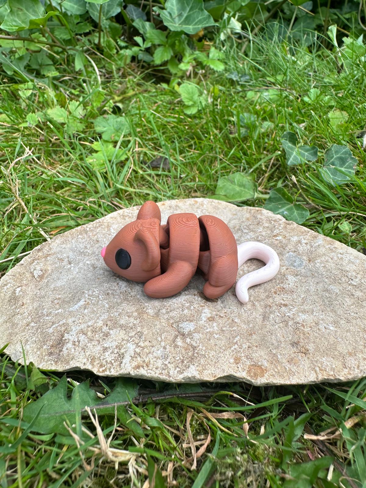 Baby Maus