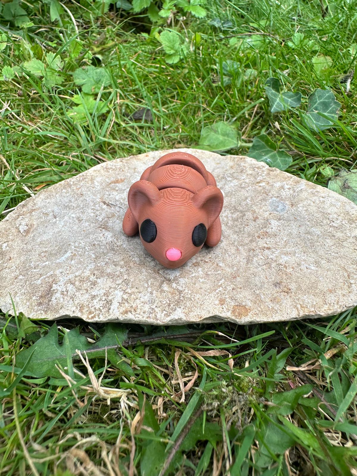 Baby Maus