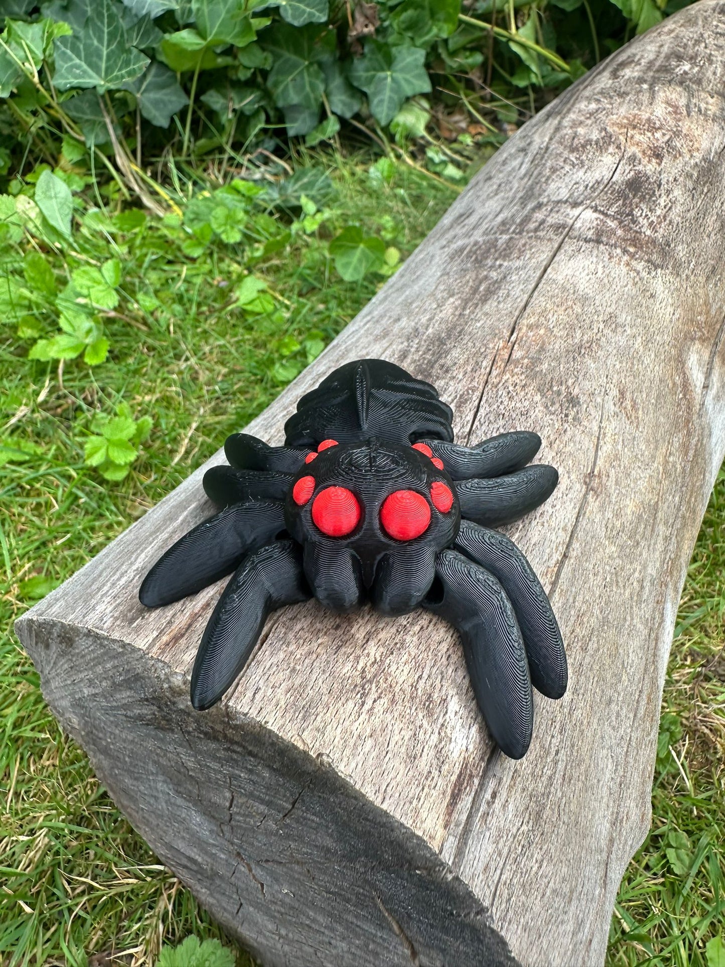 Spinne