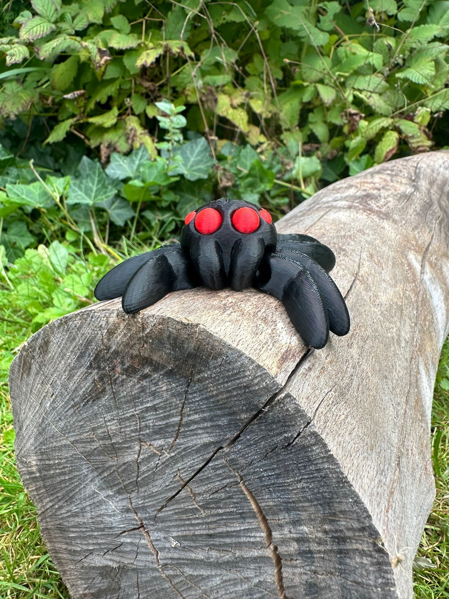 Spinne