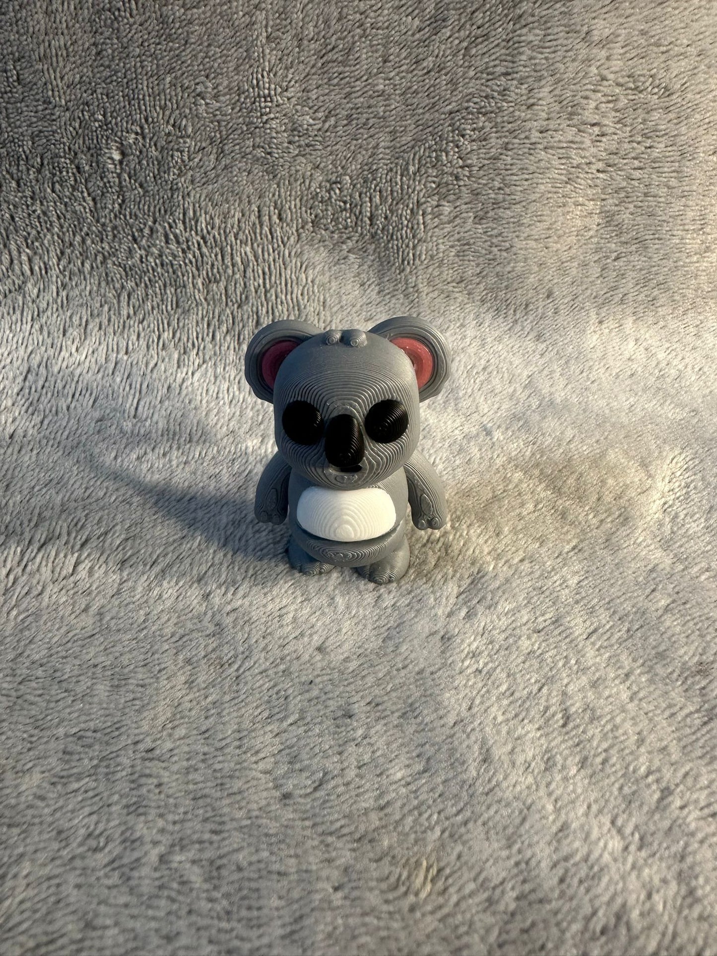 Baby Koala