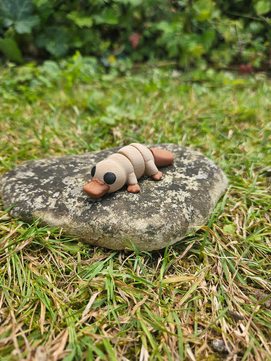 Baby Schnabeltier