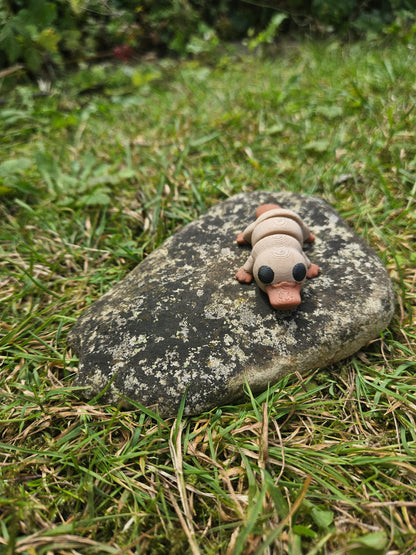 Baby Schnabeltier