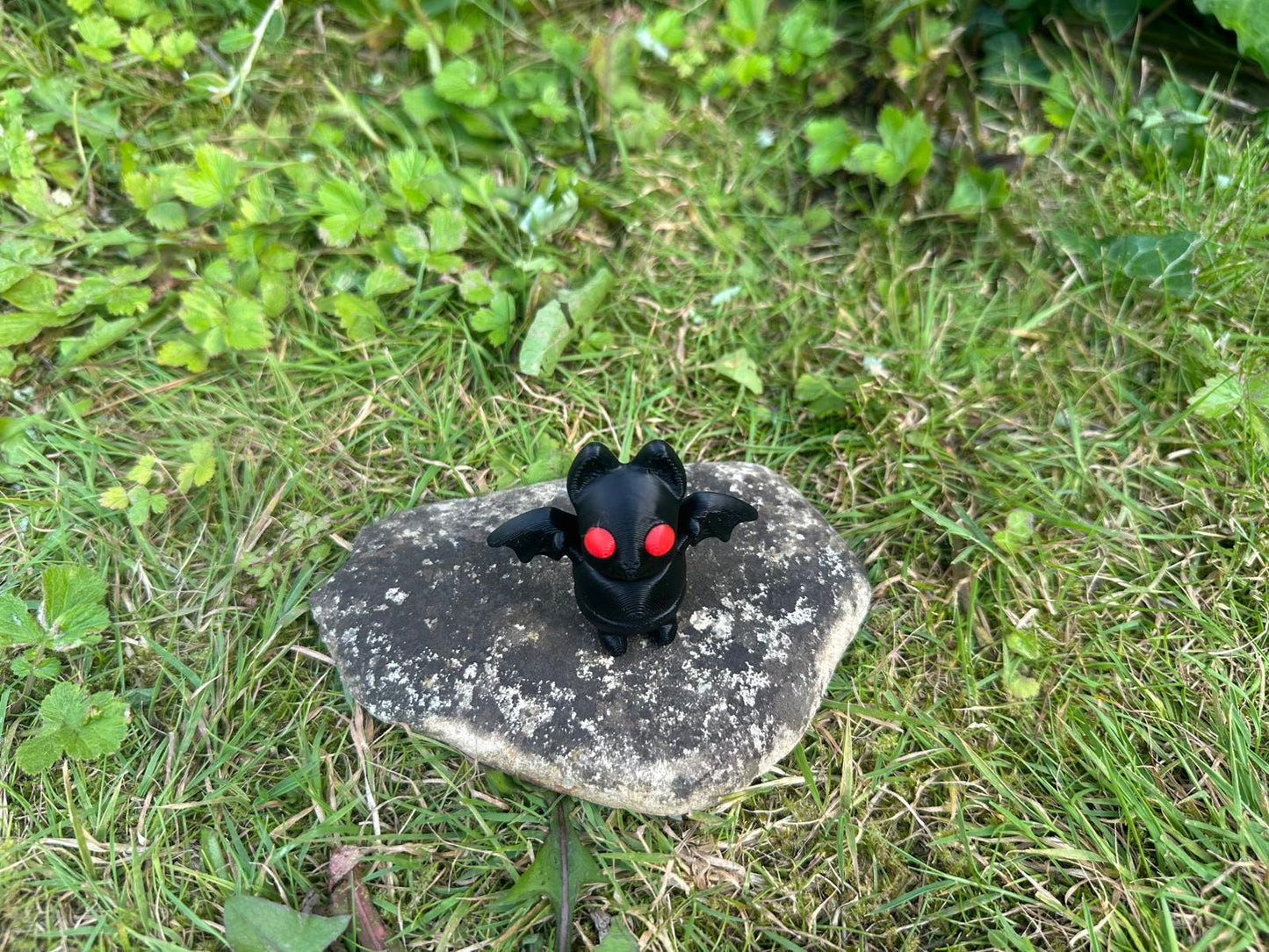 Baby Fledermaus