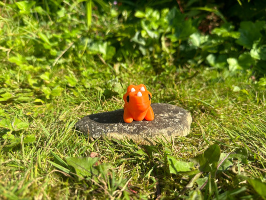 Baby Triceratops