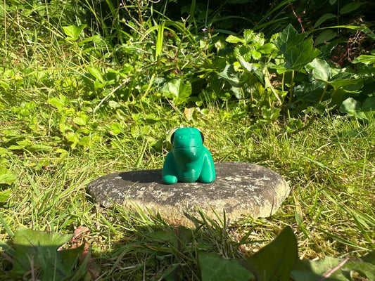 Baby Stegosaurus