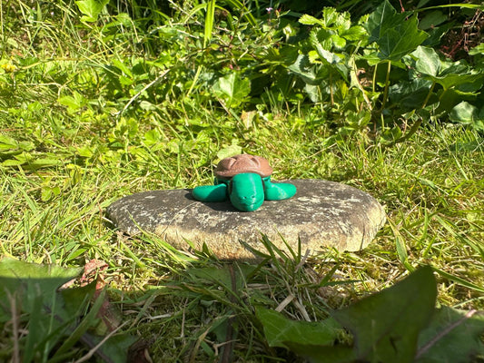 Baby Schildkröte