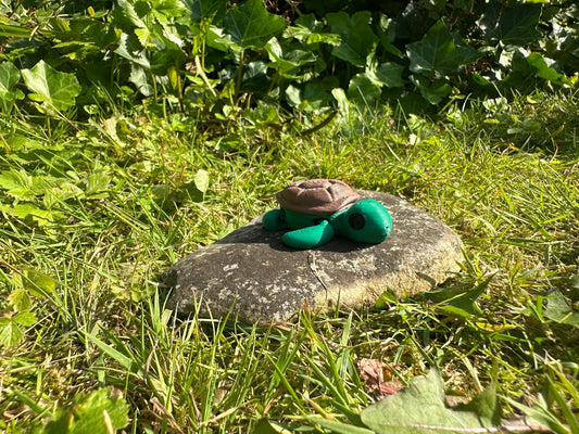 Baby Schildkröte