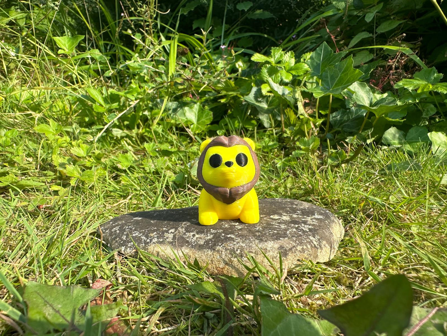 Baby Löwe