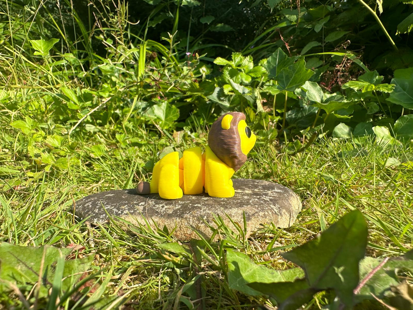 Baby Löwe