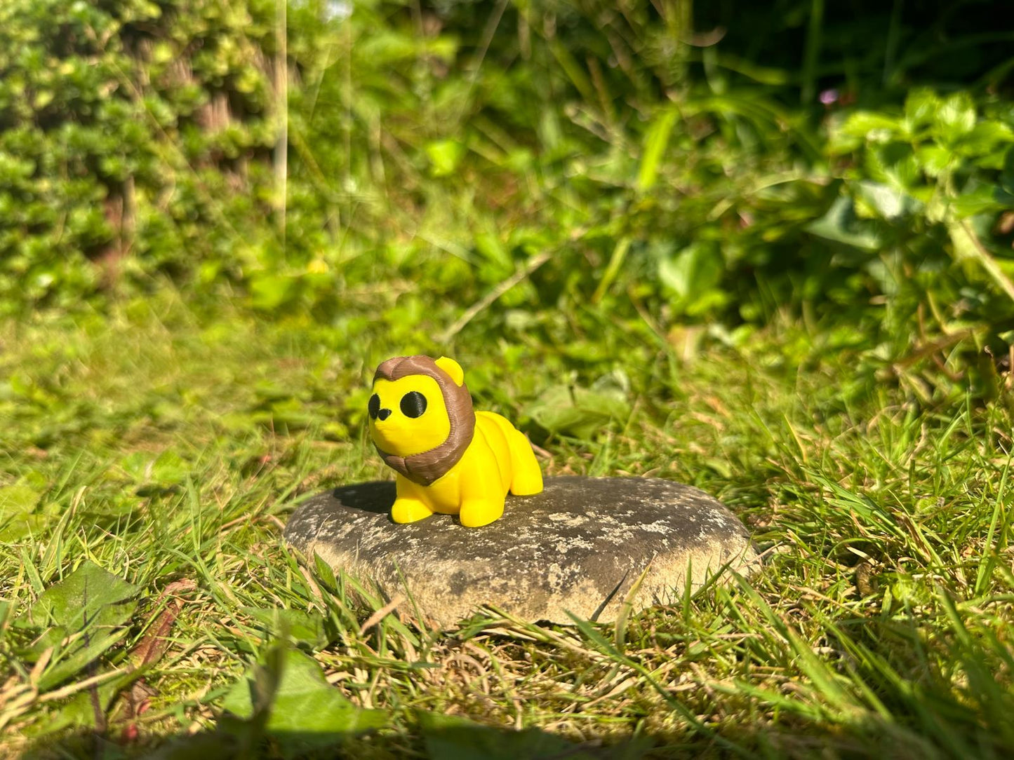 Baby Löwe