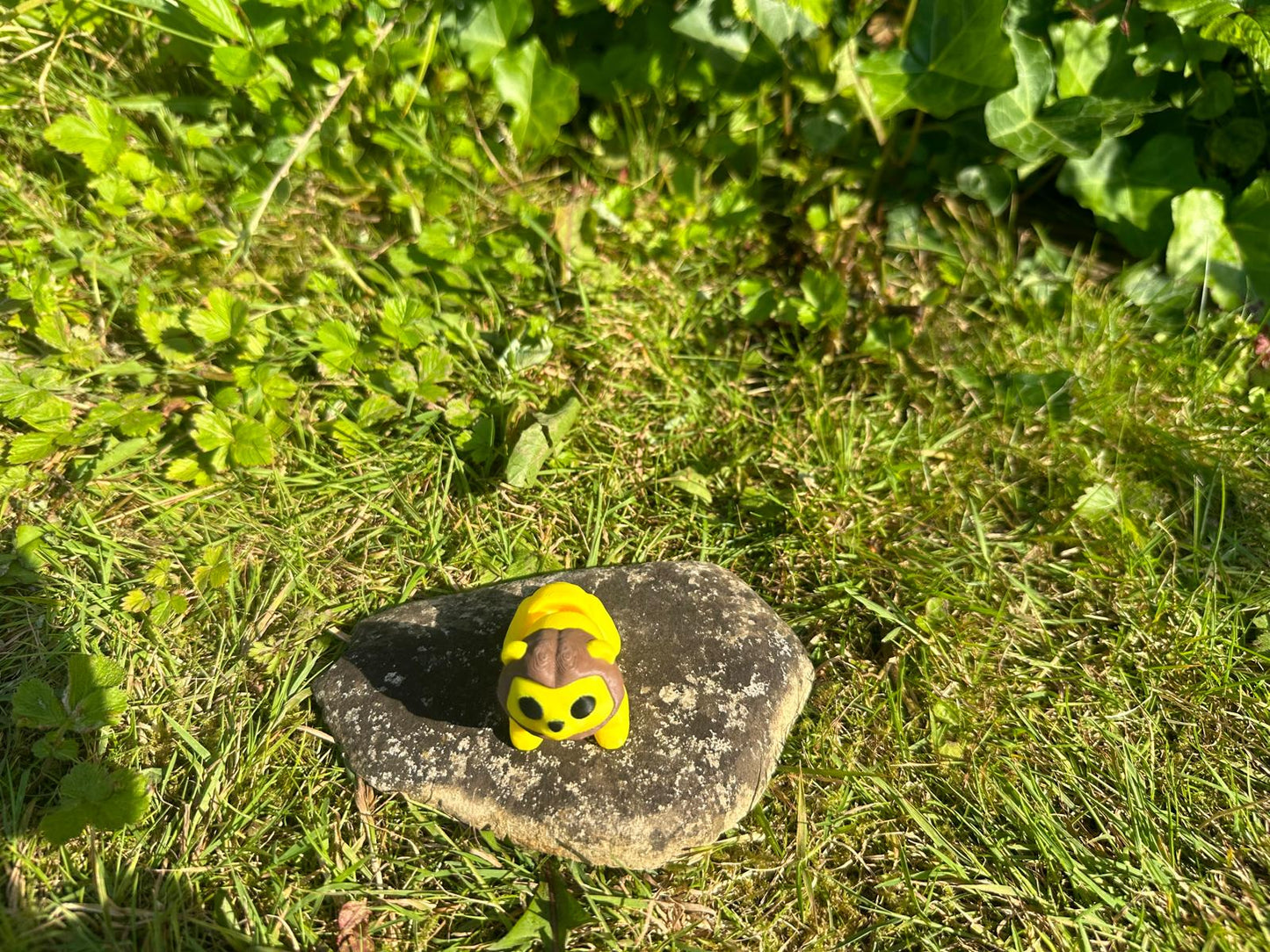 Baby Löwe