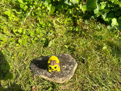 Baby Löwe
