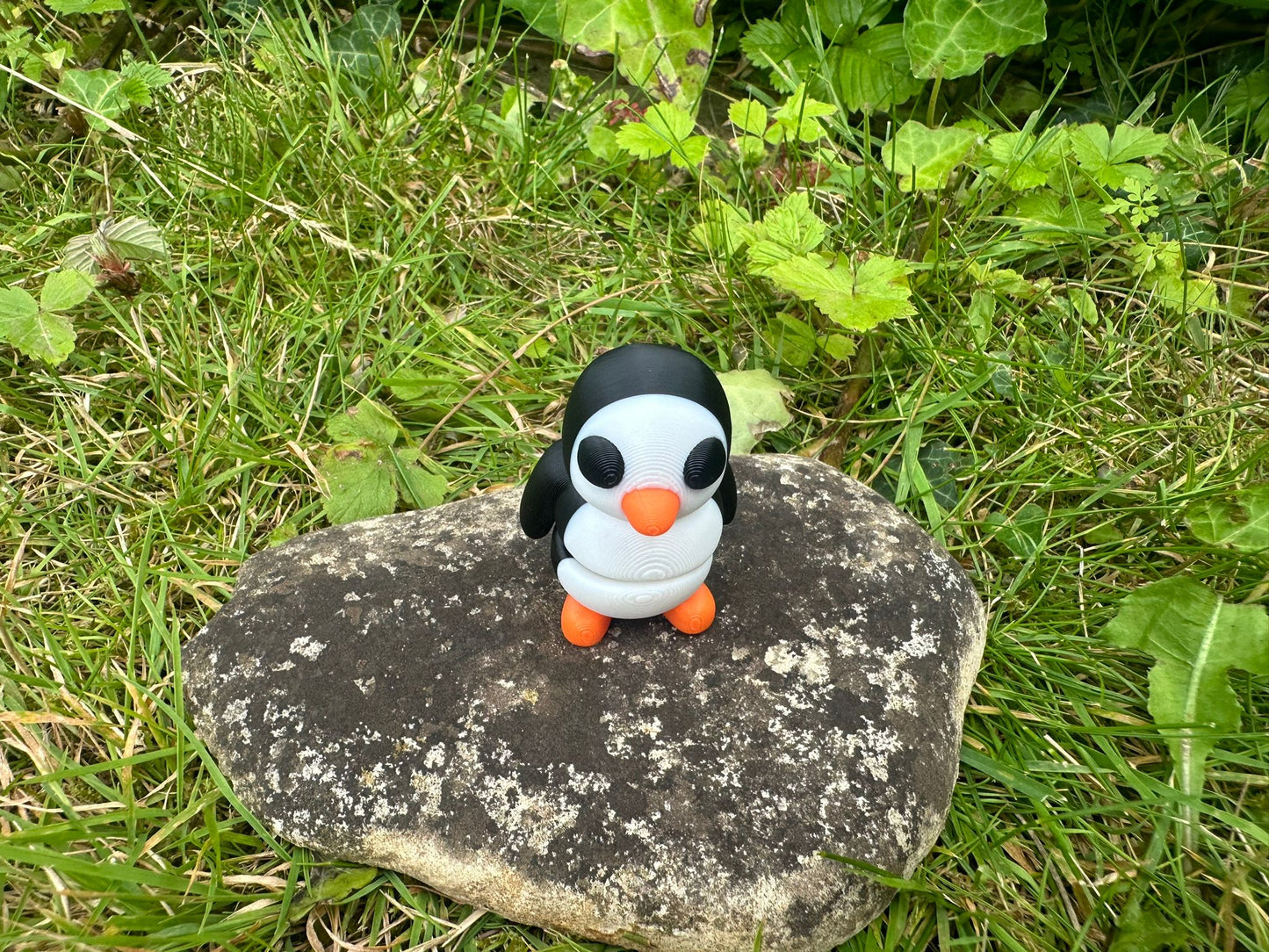 Baby Pinguin
