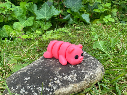 Baby Schwein