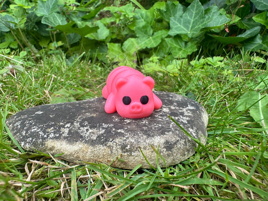 Baby Schwein