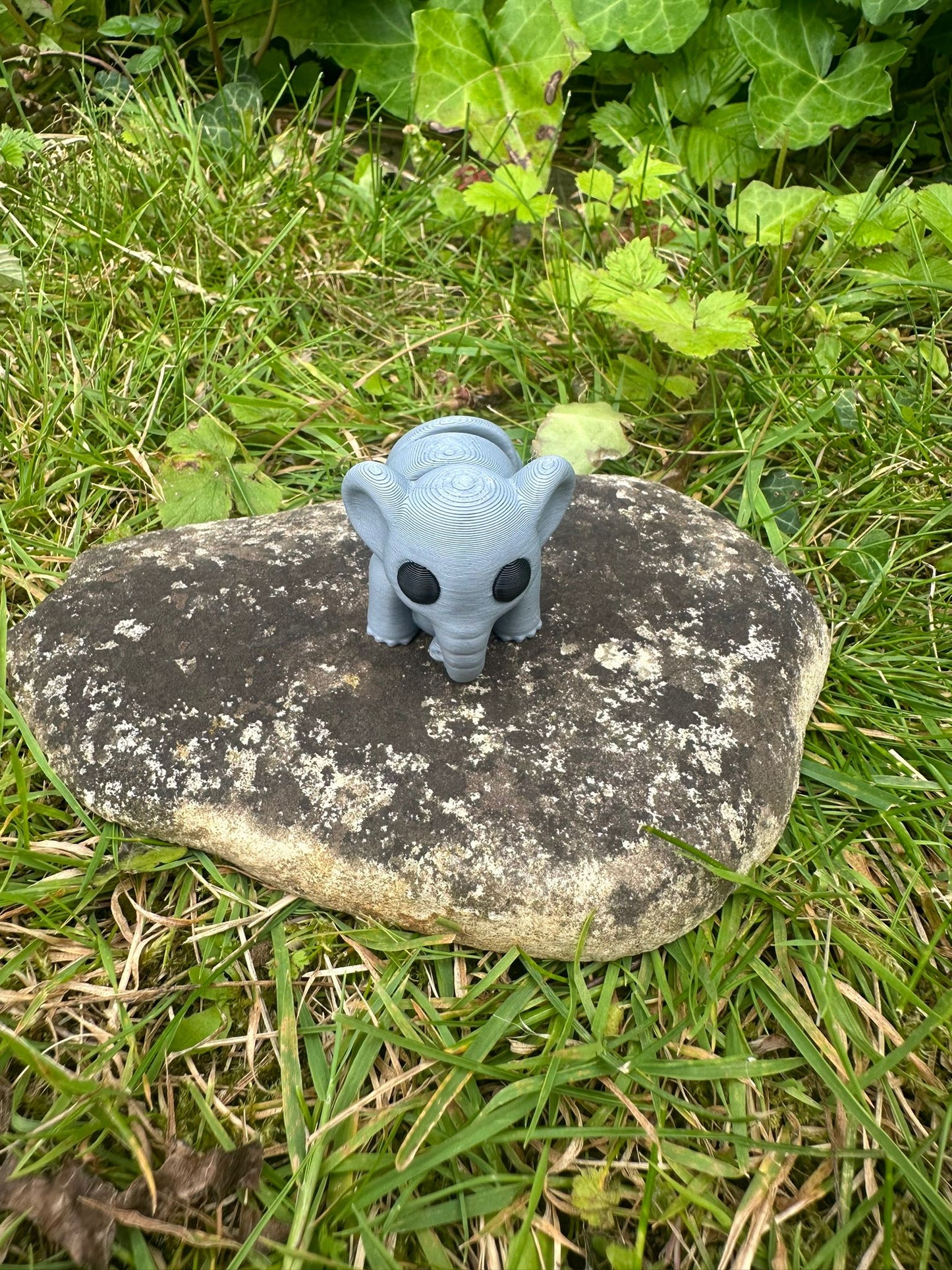 Baby Elefant