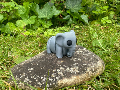 Baby Elefant