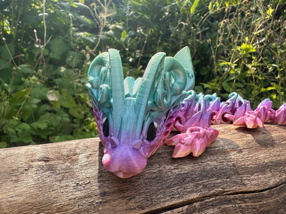 Schmetterlingsdrache