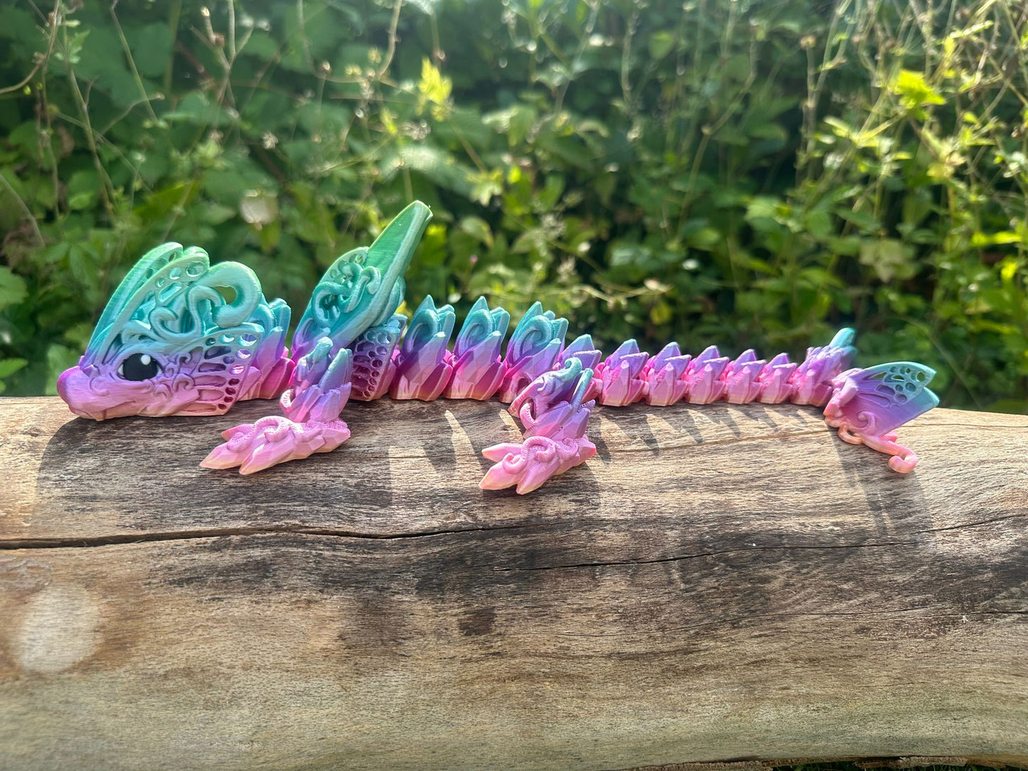 Schmetterlingsdrache