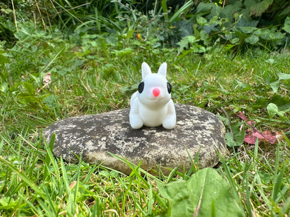 Baby Hase