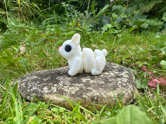 Baby Hase