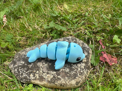 Baby Delfin
