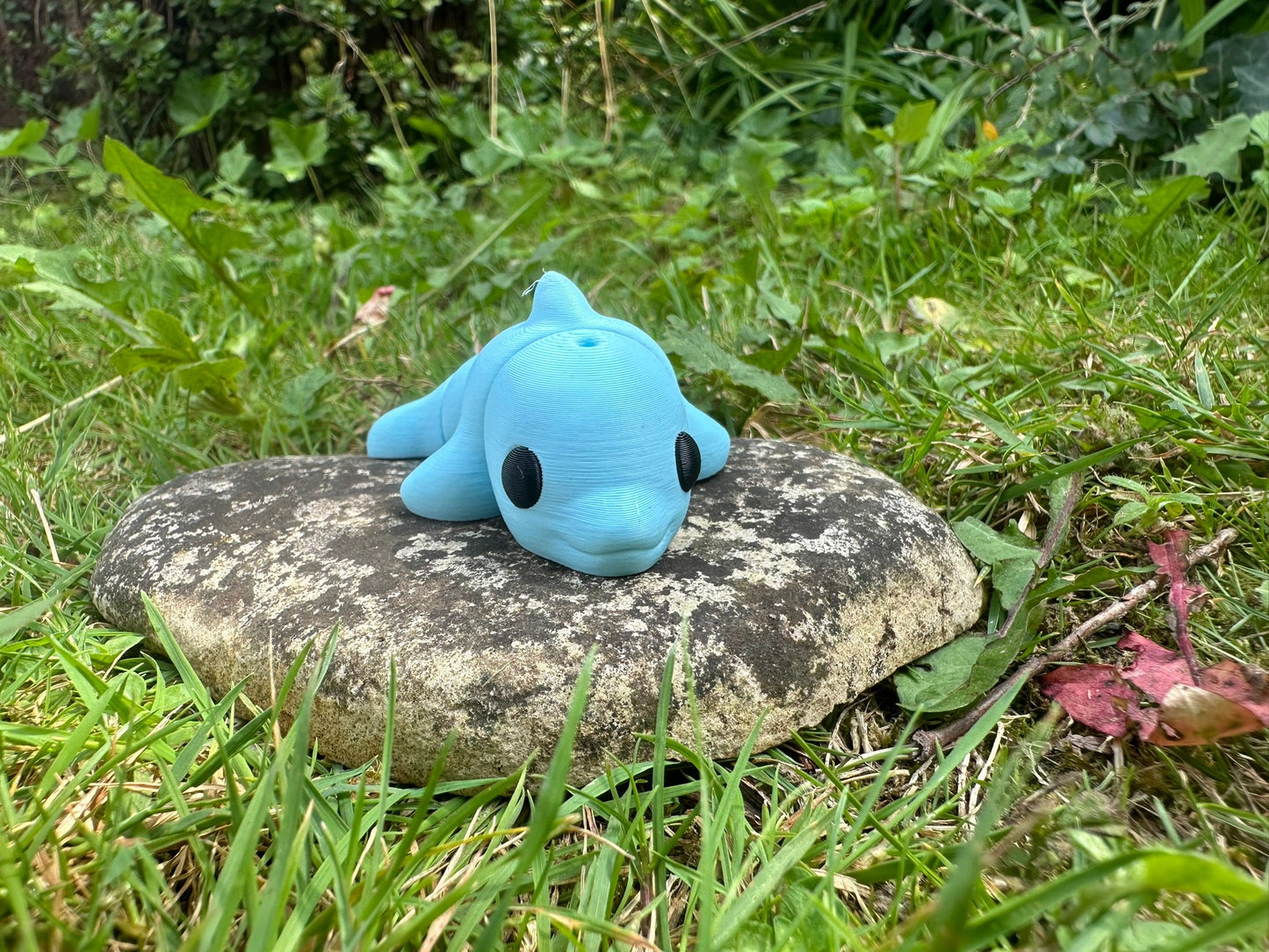 Baby Delfin