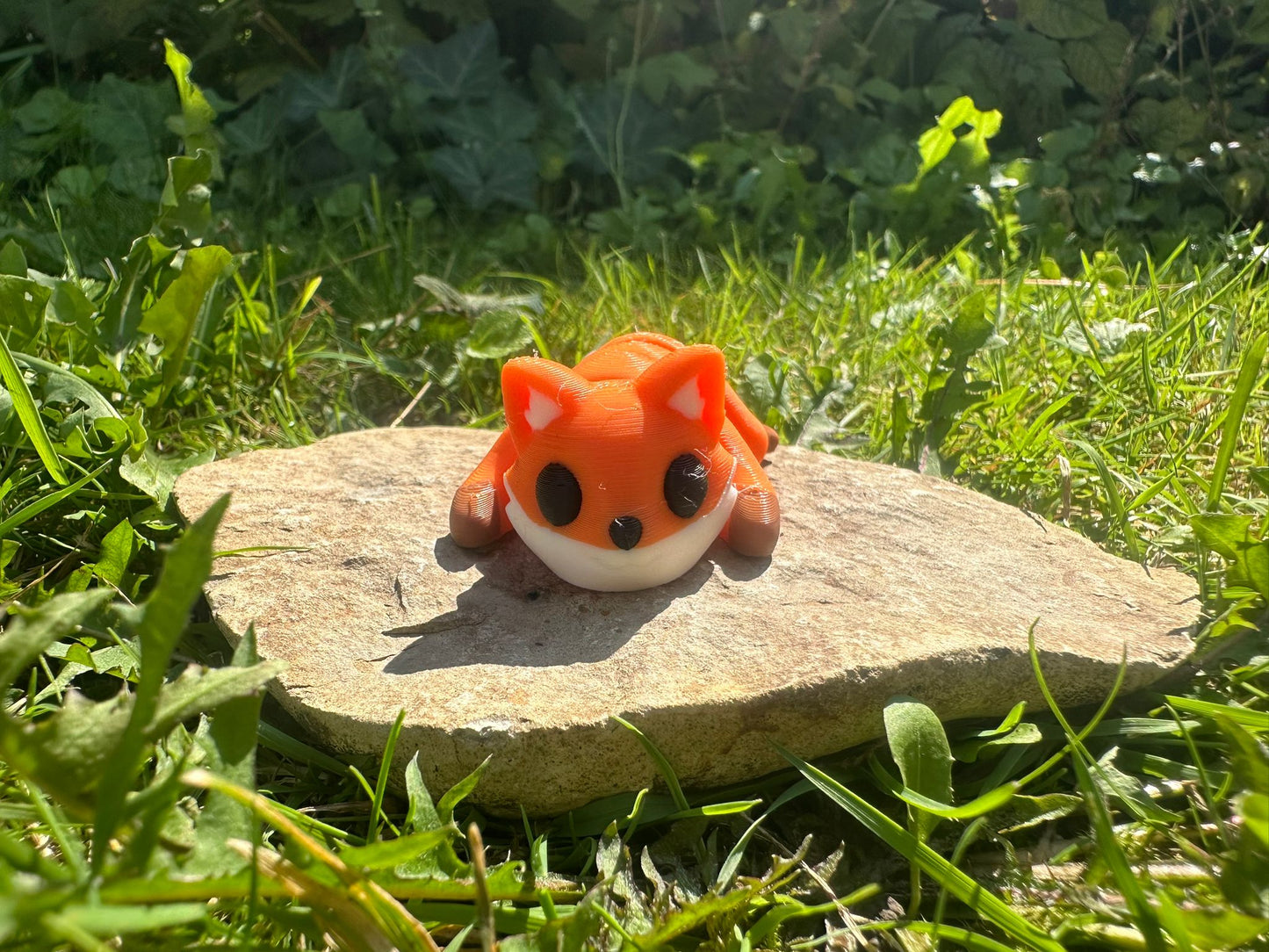 Baby Fuchs