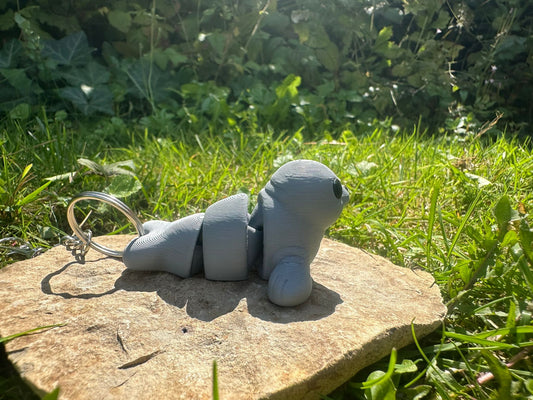 Baby Robbe Schlüsselanhänger