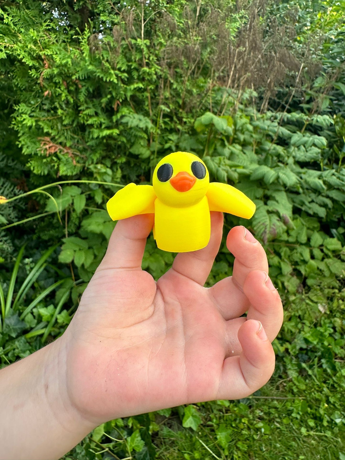 Baby Ente