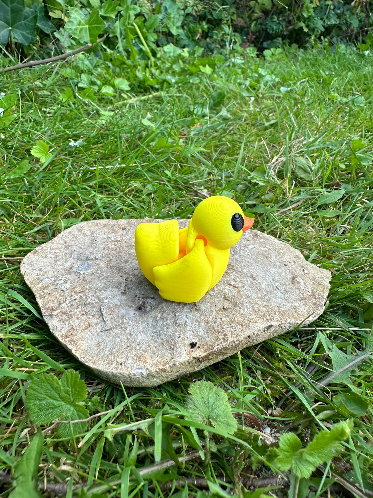 Baby Ente