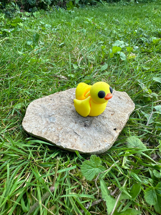 Baby Ente